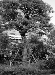 响水注册公司